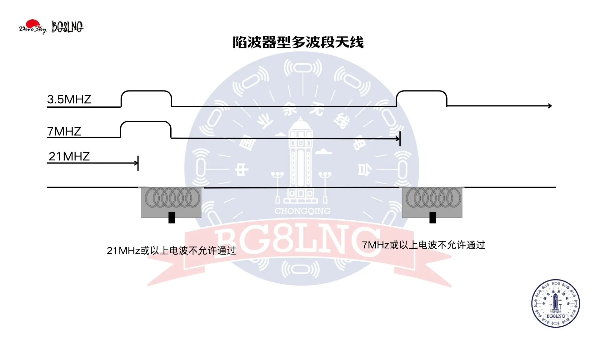 1747397041806.webp