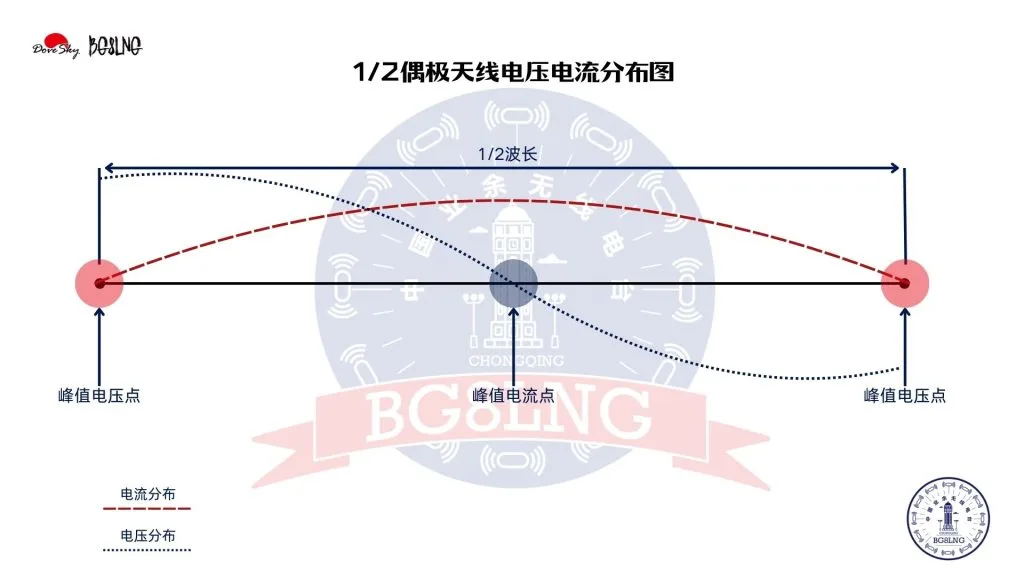 1747397297986.webp