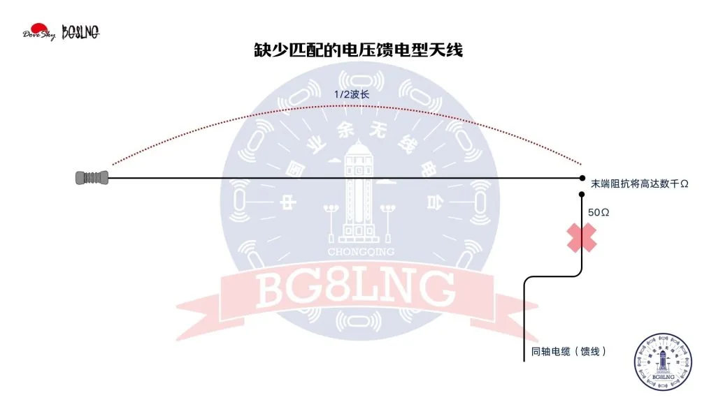 1747397297988.webp
